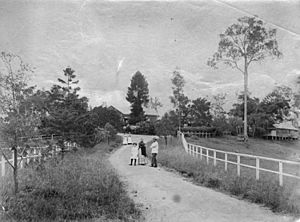 StateLibQld 1 123589 Brisbane residence, Baroona, ca. 1885