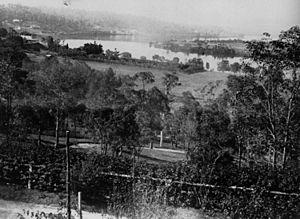 StateLibQld 1 42775 View from Cintra, Newstead, ca. 1875