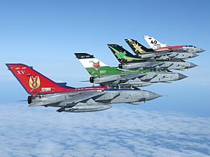 Tornado Squadron Anniversaries