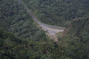 View of roadway that leads up to Cerro de Punta