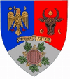 Coat of arms of Vrancea