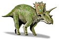 Anchiceratops BW