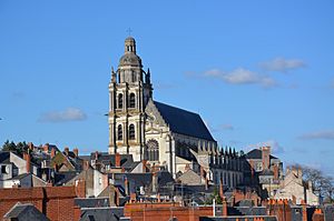 Cathédrale Saint Louis (Blois, Loir et Cher, France)