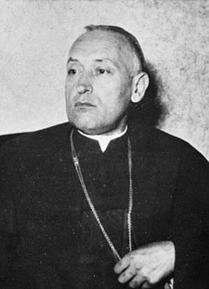 József Mindszenty c1962