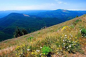 Marys Peak View (Benton County, Oregon scenic images) (benDA0137)