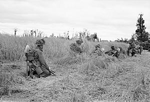Men of the Lancashire Fusiliers crawl cautiously through a cornfield near St Contest, Normandy, 9 July 1944. B6754