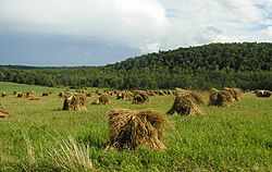 Farmland in rural Steuben County