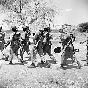The West African Frontier Force in East Africa, 1941 E2003
