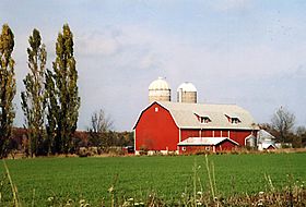 Wisconsinfarm