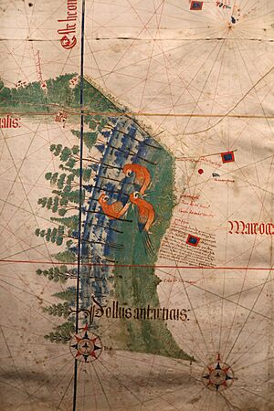 Anonimo portoghese, carta navale per le isole nuovamente trovate in la parte dell'india (de cantino), 1501-02 (bibl. estense) 03