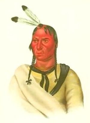 Chief Sleepy Eye of the Sisseton Sioux.jpg