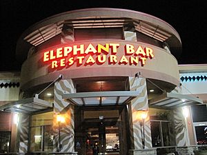 Elephant Bar, Serramonte exterior at night