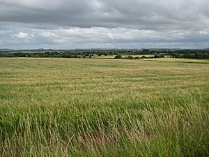 Etchilhampton, The Vale of Pewsey - geograph.org.uk - 1406685