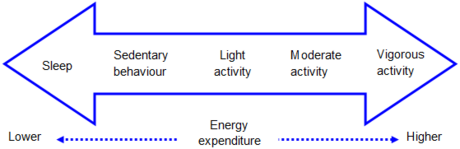Intensity and Energy Expenditure