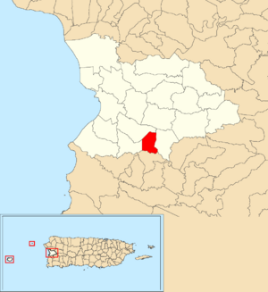 Location of Malezas within the municipality of Mayagüez shown in red