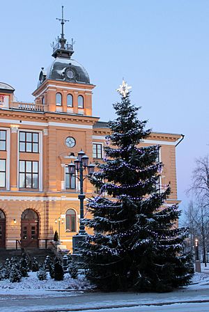 Oulu City Hall 20121206
