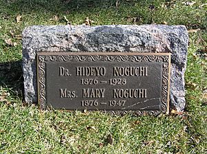 The Footstone of Hideyo Noguchi in Woodlawn Cemetery