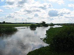 The River Rye in flood May 2006 from Howe Bridge (A169) - geograph.org.uk - 173708