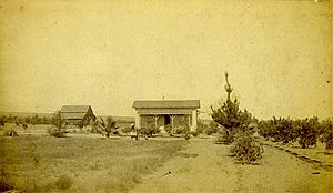 1884 Cabinet Photo Ranch at Cucamunga San Bernardino CA