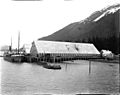 Cannery of the Pacific American Fisheries, Excursion Inlet, ALaska, June 11, 1911 (COBB 155)