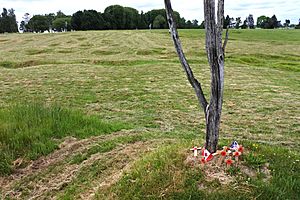 Danger Tree site, Beaumont-Hamel