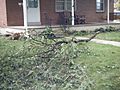 Hurricane Irene downed branch Kutztown PA