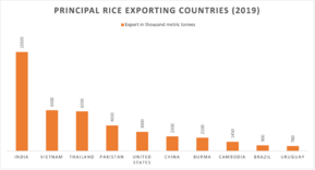 International Rates of Rice Exports (2019)