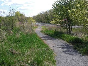 Kocher Park path