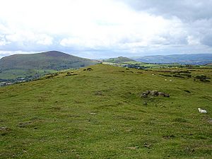 Stapeley Hill - geograph.org.uk - 532131