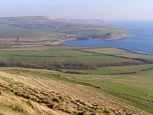 View east-southeast from Tyneham Cap - geograph.org.uk - 695848