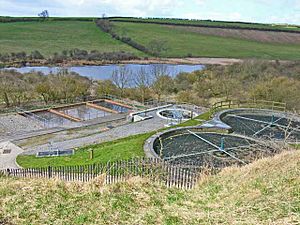Cassop Sewage Farm (and National Nature Reserve^) - geograph.org.uk - 153628