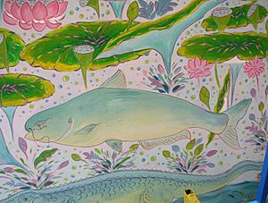 Giant Mekong catfish886