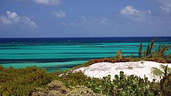 Ocean View from Middle Caicos.jpg