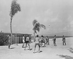 Photograph of a volleyball game between members of President Truman's vacation party at Key West, Florida. - NARA - 199042 (cropped)