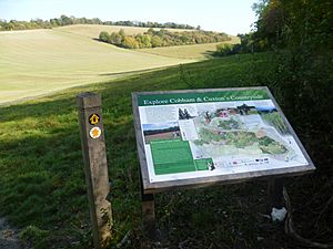 Ranscombe Farm from the North Downs Way (geograph 2662846)