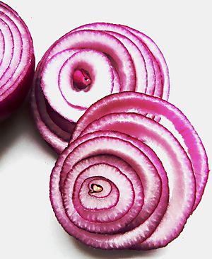 Red onions (cross-sections)