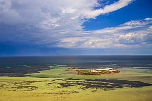 Shark Bay, WA, home of a lot of sea grass and happy Dugongs - (13113483083)