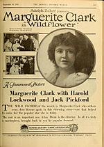 Wildflower 1914