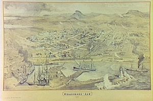 Aerial view of Wollongong Harbour 1887