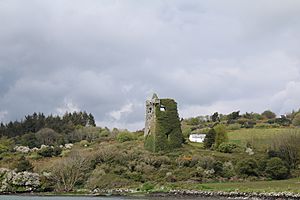 County Cork - Raheen Castle - 20150930192003