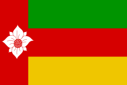 Flag of Tynaarlo