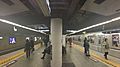 Ginza Station platforms - Hibiya Line - Nov 11 2019 panorama 17 03 56 035000
