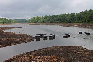Lake Jean in June 2015 (5)