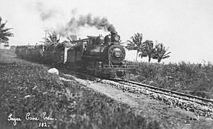 Sugar Cane Train (1911) bw