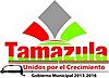 Official seal of Tamazula de Victoria