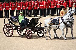 Trooping the Colour Queen carriage 16th June 2007