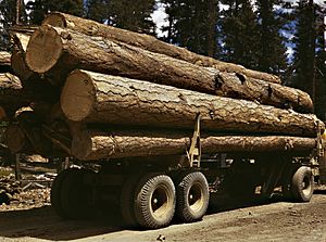 Truck load of ponderosa pine, Edward Hines Lumber Co, operations in Malheur National Forest, Grant County, Oregon, July 1942