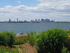 Boston from Spectacle Island