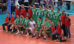 Bulgaria men's national volleyball team 2014