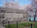 FDR Memorial and Cherry Trees